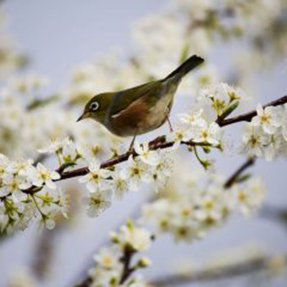 Marzo, ancora posti disponibili nel mese della primavera