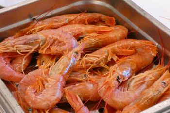 gallery/cucina_etnica/cucina_giapponese/2023-04-01/Otto_in_cucina_-_Cucina_Giapponese_-_2023-04-01-011.JPG